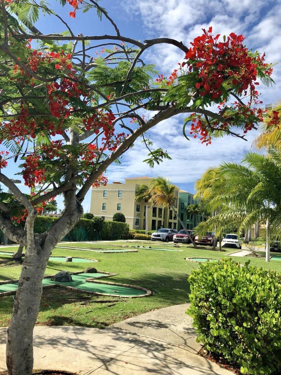 Aquatika Paraiso Tropical Loiza Kültér fotó